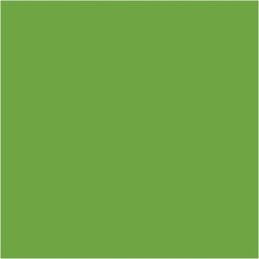 Acryl color-permanent green (554), opaque, good fade resistant, 60ml-Schmincke AKADEMIE