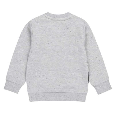 Dirkje-Jongens Sweater ls-Grijs