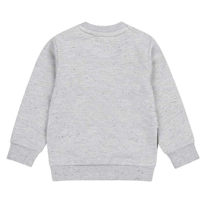 Dirkje-Jongens Sweater ls-Grijs